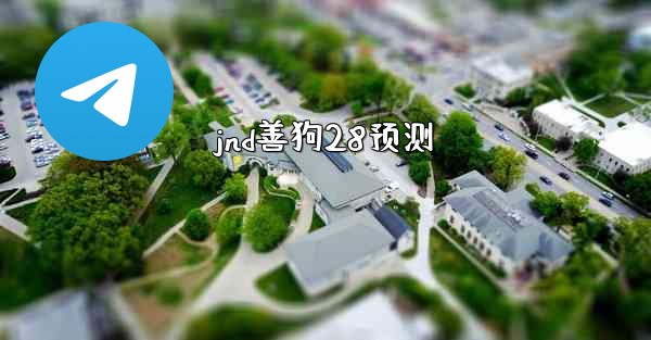 jnd善狗28预测