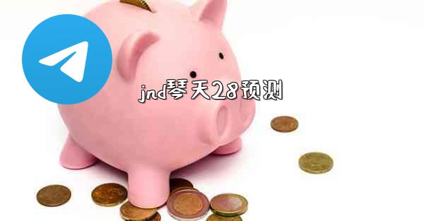 jnd琴天28预测