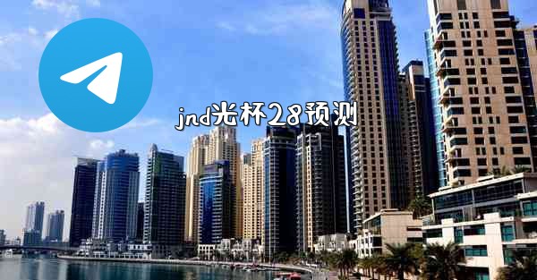 jnd光杯28预测