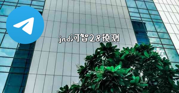 jnd河智28预测