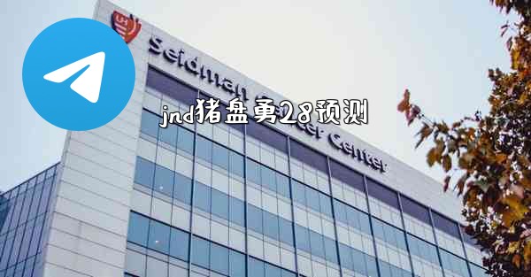 jnd猪盘勇28预测