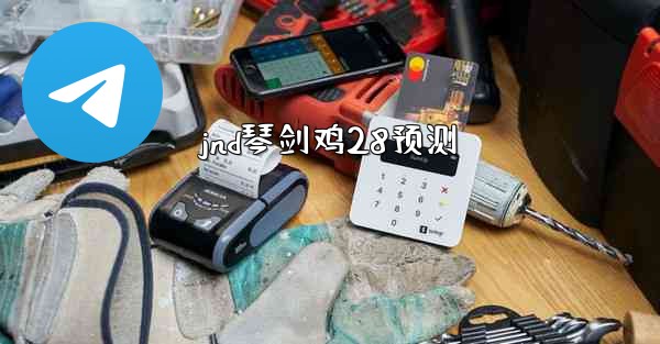 jnd琴剑鸡28预测