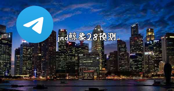 jnd鲸象28预测