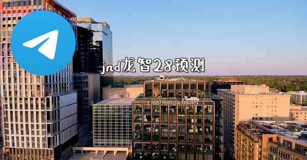 jnd龙智28预测