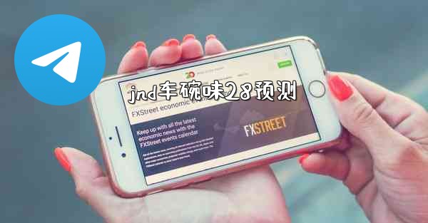 jnd车碗味28预测