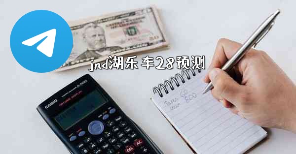 jnd湖乐车28预测