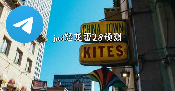 jnd怒龙雷28预测
