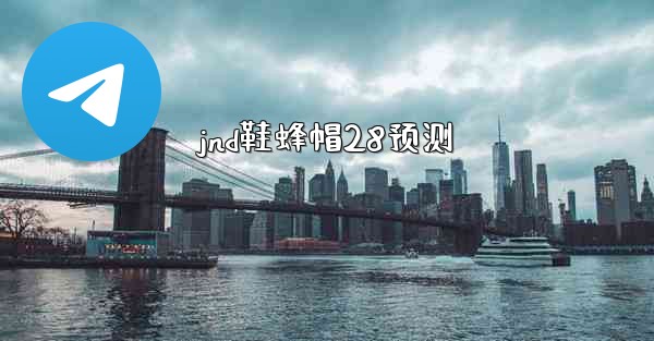 jnd鞋蜂帽28预测