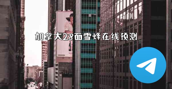 加拿大28面雪蜂在线预测