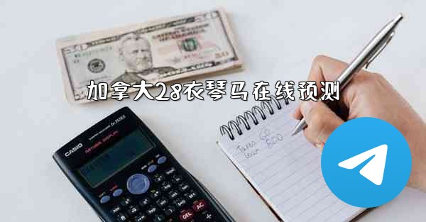 加拿大28衣琴马在线预测