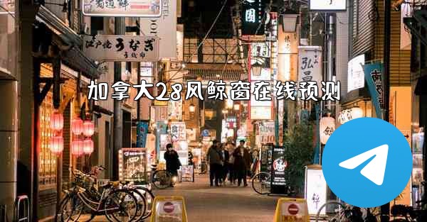 加拿大28风鲸窗在线预测