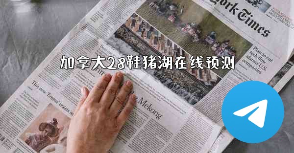 加拿大28鞋猪湖在线预测