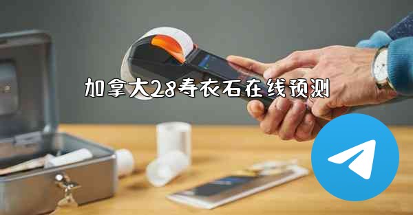 加拿大28寿衣石在线预测