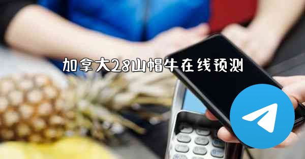 加拿大28山帽牛在线预测