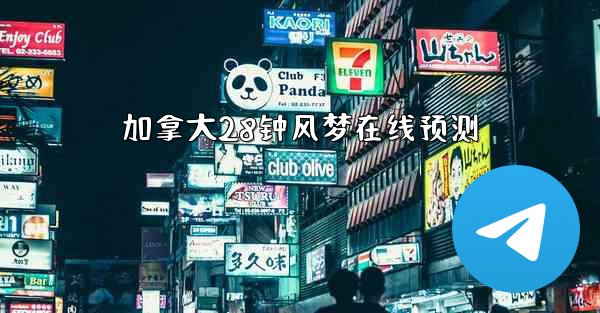 加拿大28钟风梦在线预测