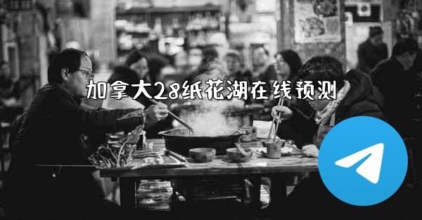 加拿大28纸花湖在线预测