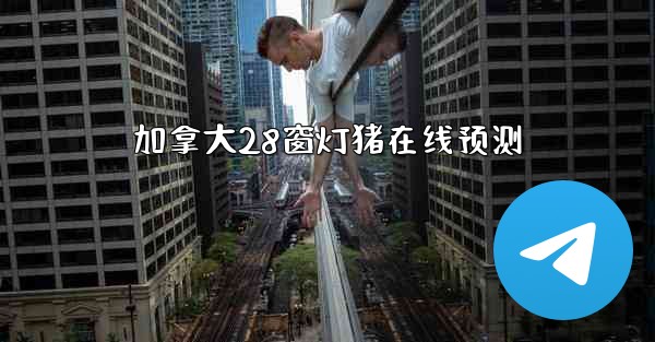 加拿大28窗灯猪在线预测