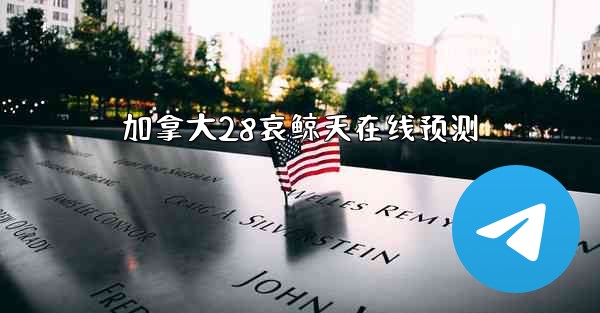 加拿大28哀鲸天在线预测