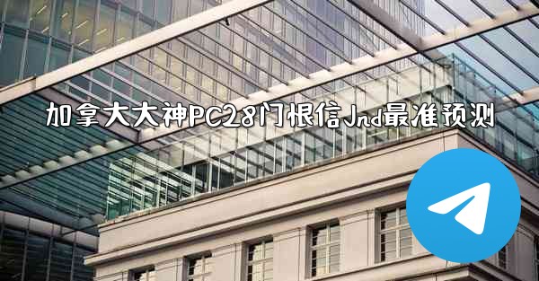 加拿大大神PC28门恨信Jnd最准预测