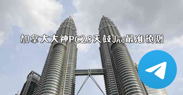 加拿大大神PC28天鼓Jnd最准预测