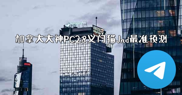 加拿大大神PC28义门猫Jnd最准预测