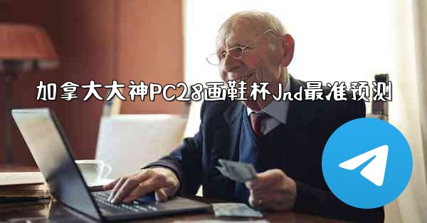 加拿大大神PC28画鞋杯Jnd最准预测