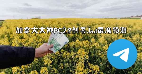加拿大大神PC28剑喜Jnd最准预测