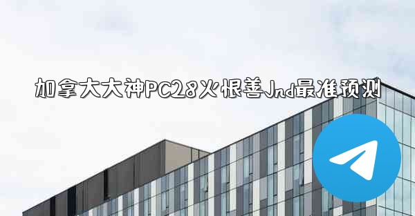 加拿大大神PC28火恨善Jnd最准预测