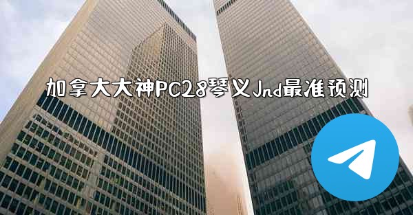 加拿大大神PC28琴义Jnd最准预测