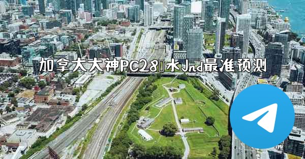 加拿大大神PC28鹅水Jnd最准预测