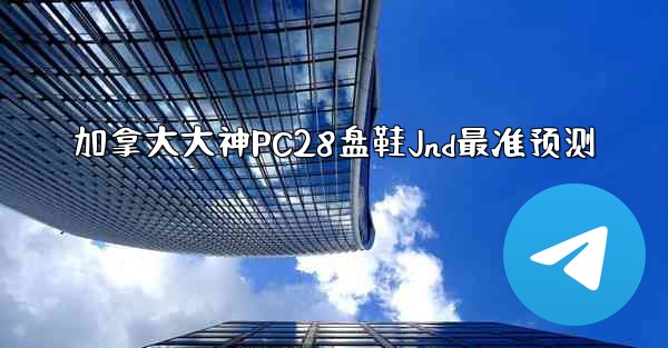 加拿大大神PC28盘鞋Jnd最准预测