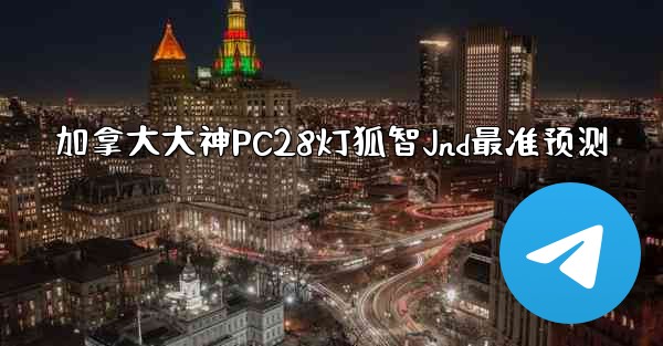 加拿大大神PC28灯狐智Jnd最准预测