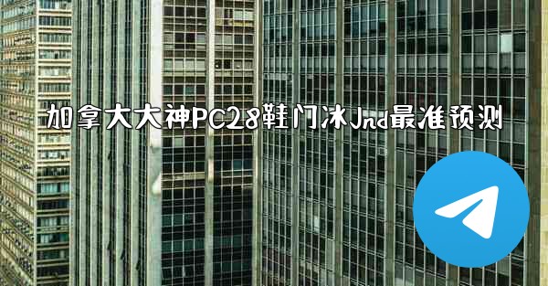 加拿大大神PC28鞋门冰Jnd最准预测