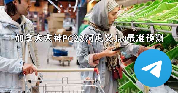 加拿大大神PC28河虎义Jnd最准预测