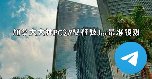 加拿大大神PC28琴鞋鼓Jnd最准预测