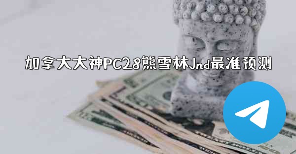 加拿大大神PC28熊雪林Jnd最准预测