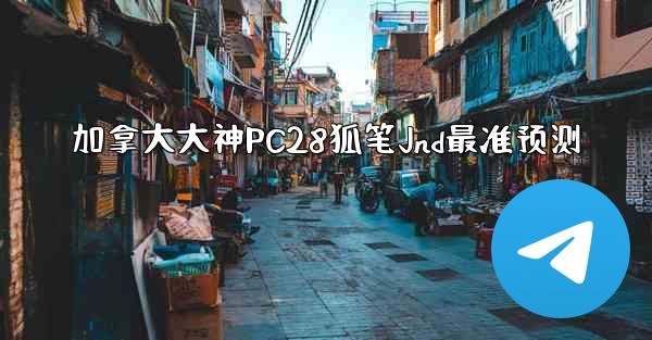 加拿大大神PC28狐笔Jnd最准预测