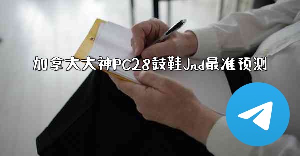 加拿大大神PC28鼓鞋Jnd最准预测