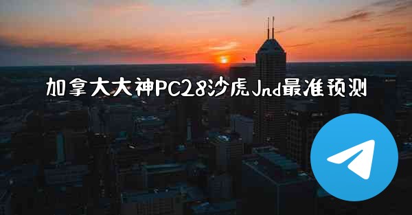 加拿大大神PC28沙虎Jnd最准预测