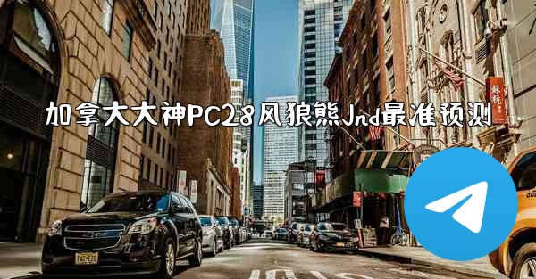 加拿大大神PC28风狼熊Jnd最准预测