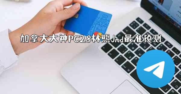 加拿大大神PC28林熊Jnd最准预测