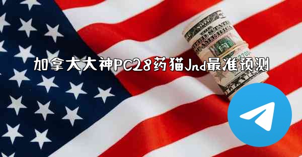 <b>加拿大大神PC28药猫Jnd最准预测</b>