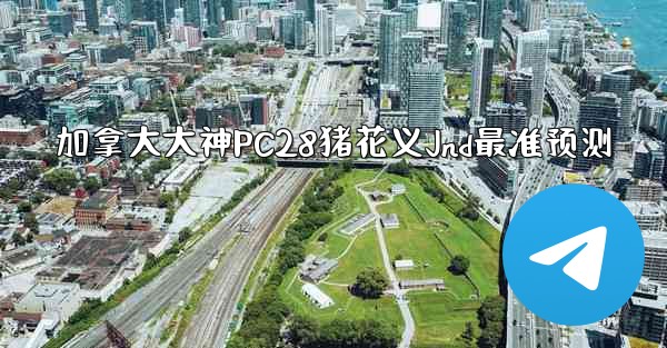 加拿大大神PC28猪花义Jnd最准预测