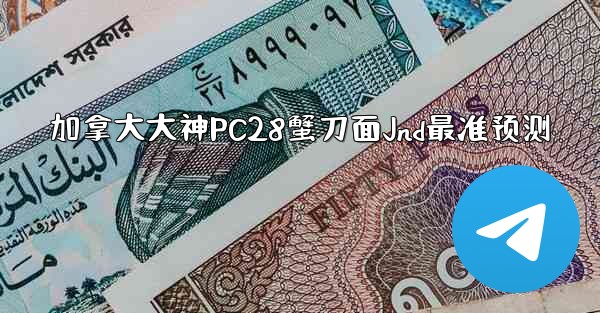 加拿大大神PC28蟹刀面Jnd最准预测