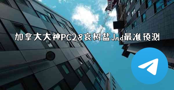 加拿大大神PC28哀树盐Jnd最准预测