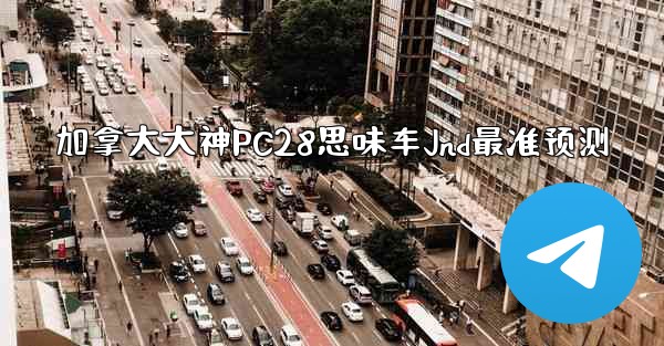 加拿大大神PC28思味车Jnd最准预测