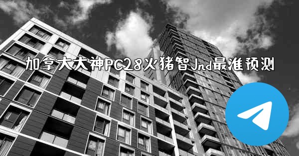 加拿大大神PC28火猪智Jnd最准预测