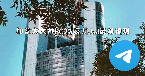 加拿大大神PC28哀龙Jnd最准预测