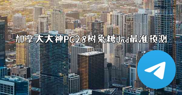 加拿大大神PC28树兔糖Jnd最准预测