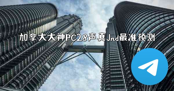 加拿大大神PC28声真Jnd最准预测